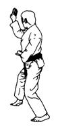 Shoto Uke